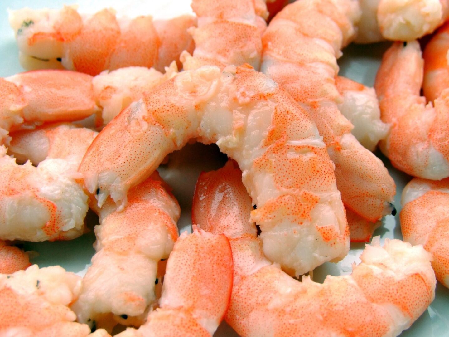 A close up of some shrimp on the plate